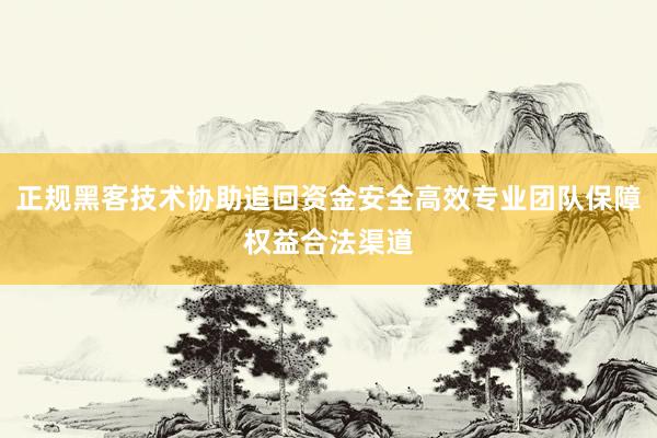 正规黑客技术协助追回资金安全高效专业团队保障权益合法渠道
