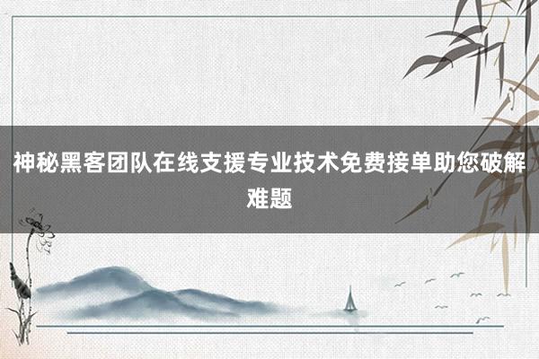 神秘黑客团队在线支援专业技术免费接单助您破解难题