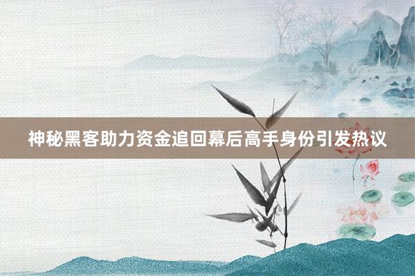神秘黑客助力资金追回幕后高手身份引发热议
