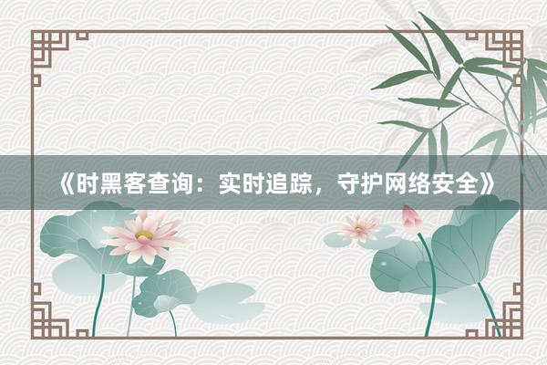 《时黑客查询：实时追踪，守护网络安全》
